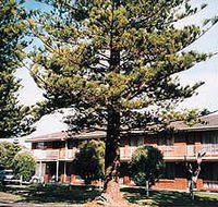 Eastern Beach Holiday Units - Your Accommodation