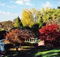 Edgelinks Bed And Breakfast - Your Accommodation