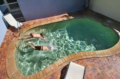 Belvedere Apartments - Your Accommodation 0
