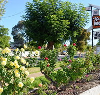 Narrogin Motel - Your Accommodation