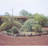 Beaufort Motel - Your Accommodation