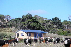 Marrawah TAS Your Accommodation