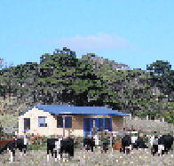 Marrawah Beach House - Your Accommodation