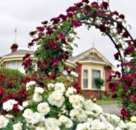 Golden Embers Apartments and B and B