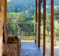 Manfield - Your Accommodation