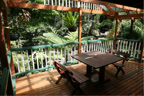 Daintree Secrets (Award Winning Retreat) - Your Accommodation 3