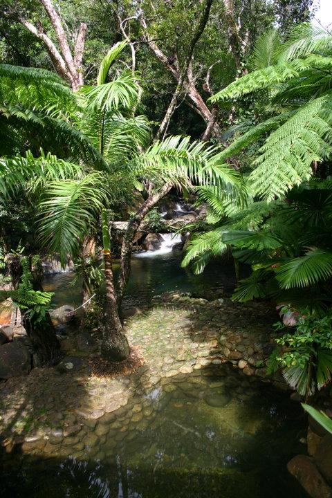 Daintree Secrets (Award Winning Retreat) - Your Accommodation 4