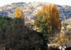 Nundle NSW Your Accommodation