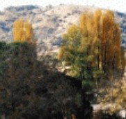 Birches Bed and Breakfast at Nundle - Your Accommodation