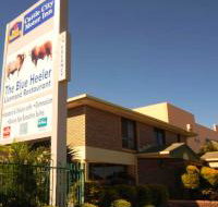 Best Western Cattle City Motor Inn - Your Accommodation