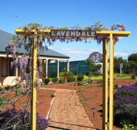 Lavendale Farmstay and Cottages - Your Accommodation