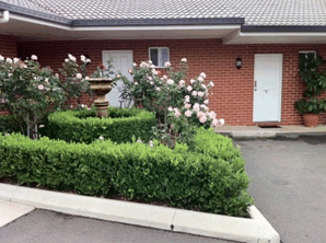 Akuna Motor Inn - Your Accommodation 4