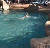 Undara Experience Lava Lodge - Your Accommodation