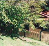 Apple Tree Cottage - Your Accommodation