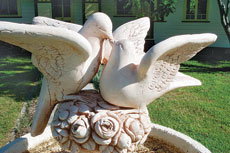 Wynyabbie House - Your Accommodation 2
