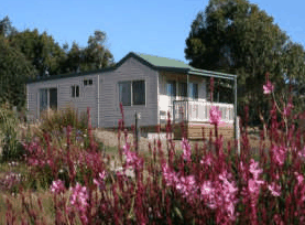 Daysy Hill Country Cottages - Your Accommodation 5