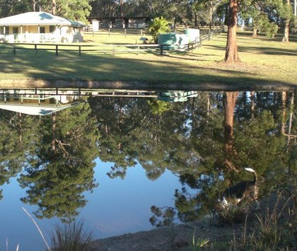 Neds Bed Horse O Tel - Your Accommodation 4