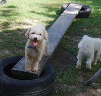Beenleigh Pet Motel - Your Accommodation