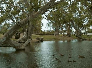 Bordertown Abode Parkland Motel - Your Accommodation 2