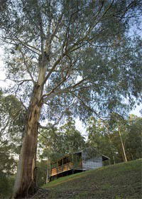 Toorongo VIC Your Accommodation