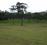 Mt White Lodge - Your Accommodation