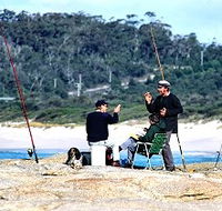 Binalong Bungalows - Your Accommodation