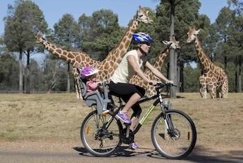 Zoofari Lodge, Taronga Western Plains Zoo - Your Accommodation 7