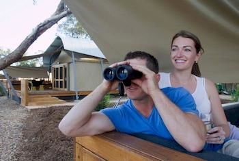 Zoofari Lodge, Taronga Western Plains Zoo - Your Accommodation 12