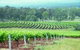 Hunter Hideaway Cottages - thumb 3