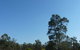 Hunter Hideaway Cottages - thumb 9