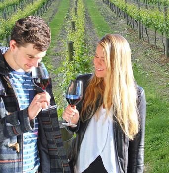 Valley Farm Vineyard Cottages - Your Accommodation 0