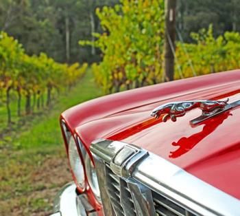 Valley Farm Vineyard Cottages - Your Accommodation 1