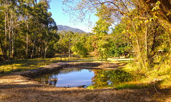 Valley Farm Vineyard Cottages - Your Accommodation 3
