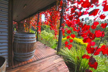 Valley Farm Vineyard Cottages - Your Accommodation 5