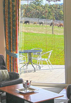 Valley Farm Vineyard Cottages - Your Accommodation 9