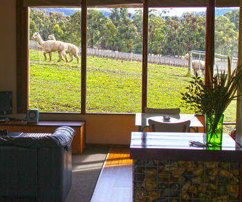 Valley Farm Vineyard Cottages - Your Accommodation 17