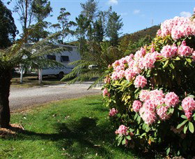Zeehan Bush Camp  And Caravan Park - Your Accommodation 0