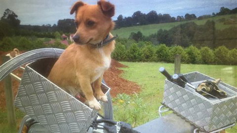 Farm Accommodation - Your Accommodation 1