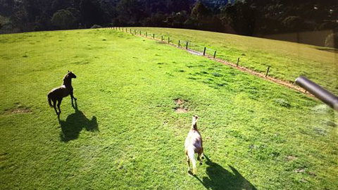Farm Accommodation - Your Accommodation 4