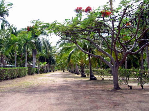 Alva Beach Tourist Park - Your Accommodation 0