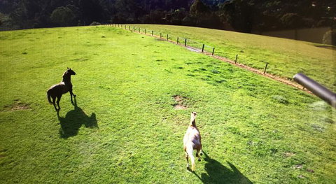 Farm Accommodation - Your Accommodation 8