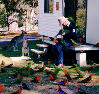 Inland Waters Holiday Parks Burrinjuck - Your Accommodation