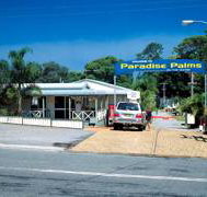 Paradise Palms Carey Bay - Your Accommodation