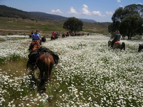 Reynella Kosciusko Rides Homestead - Your Accommodation 8