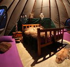 Aranyani Bison Adventure Tourist Park - Your Accommodation