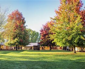 Laurel Hill Forest Lodge - Your Accommodation 1