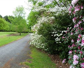 Laurel Hill Forest Lodge - Your Accommodation 2