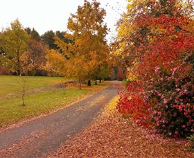 Laurel Hill Forest Lodge - Your Accommodation 4