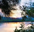 Tweed Coast Holiday Parks Hastings Point - Your Accommodation