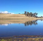 Bombala Maneroo Motel - Bombala - Your Accommodation